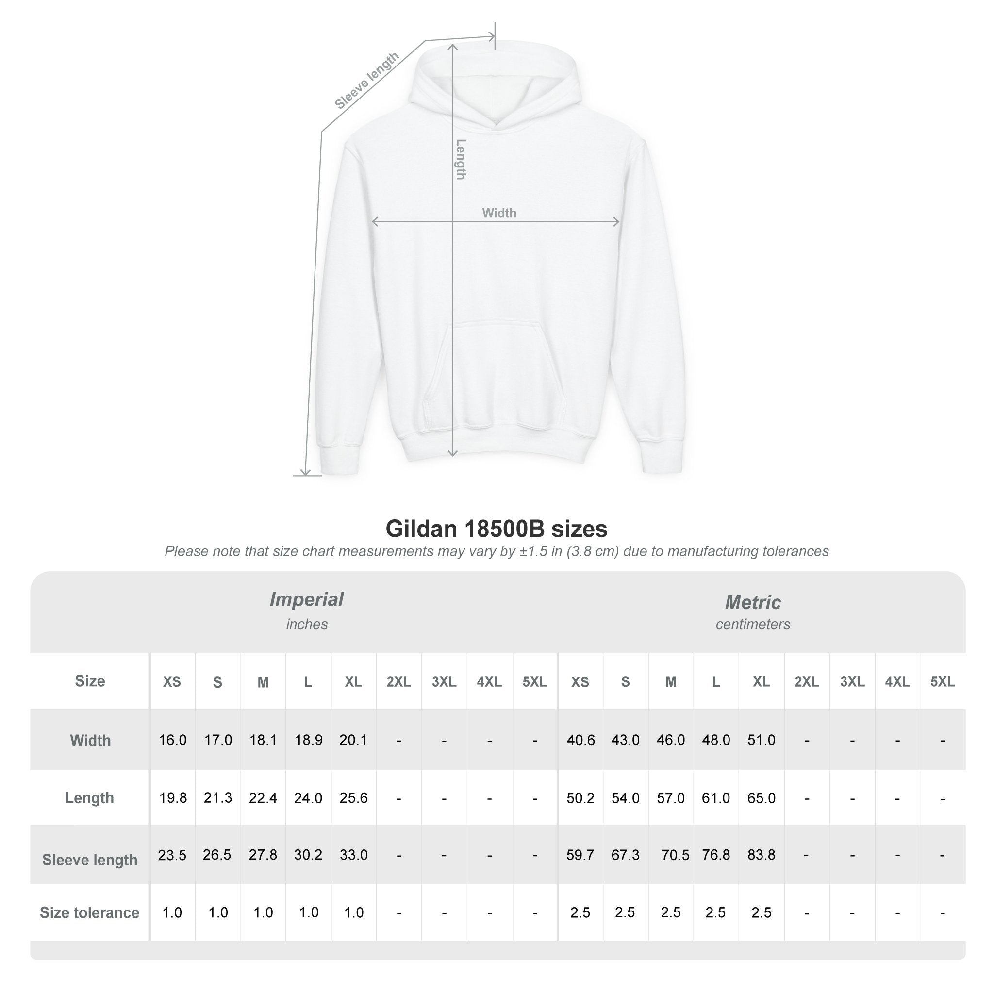 Go Mo Go Youth Hooded Sweatshirt